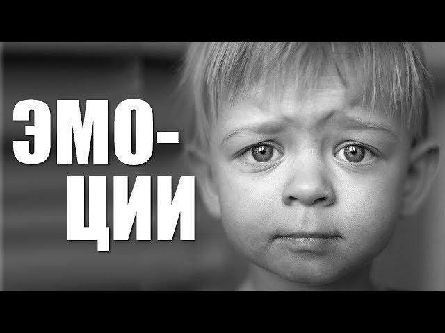 Мозг и эмоции. Что такое эмоции