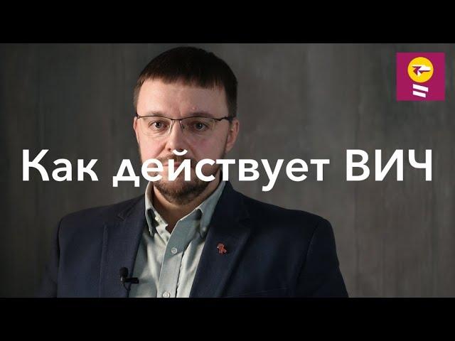 Как действует ВИЧ - Данила Коннов // стадия острой ВИЧ инфекции, вторичные заболевания, СПИД