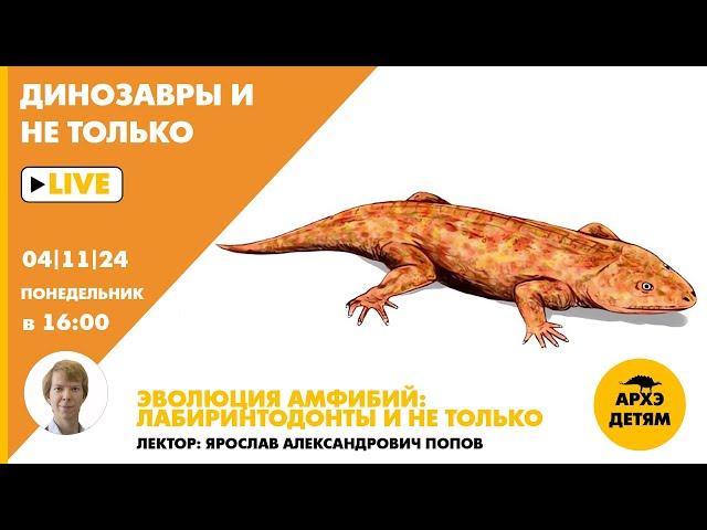 Занятие "Эволюция амфибий: лабиринтодонты и не только" кружка "Динозавры и не только". Ярослав Попов