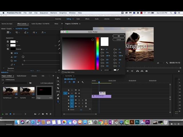 Adobe Premiere Pro CC 2018 - How to Create Text Easily