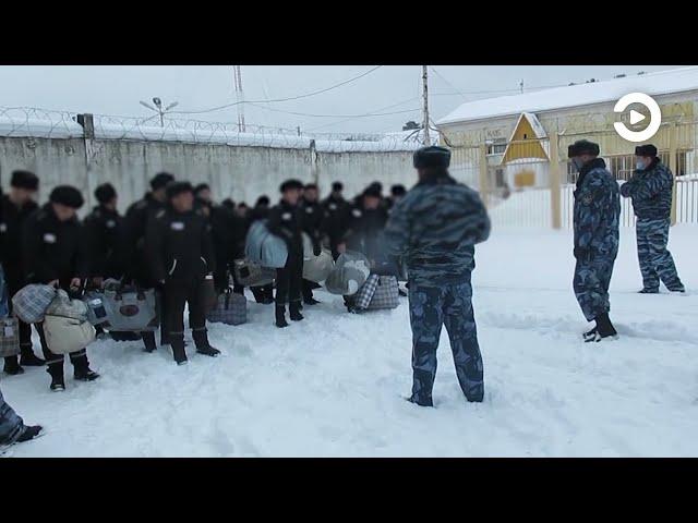 В пензенской колонии Пензы выявлена ячейка запрещенной в России экстремистской организации