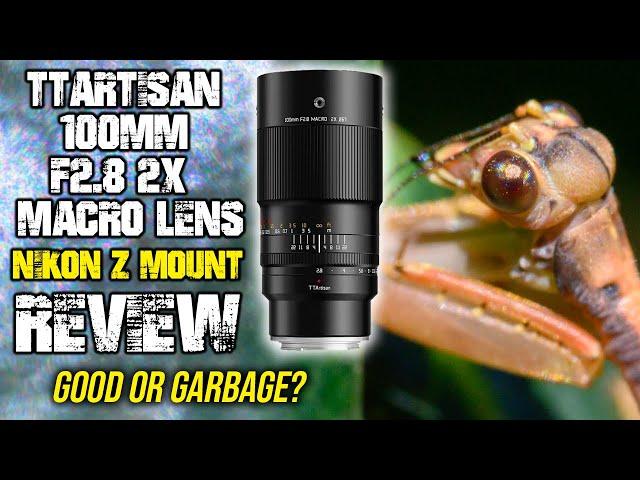 TTArtisan 100mm F2.8 2x Macro Nikon Z Review | GOOD or GARBAGE?