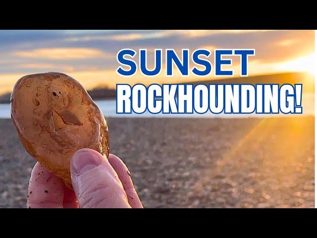 Sunset Rock Hunting on the Yellowstone River - Agatized Wood Bonanza!