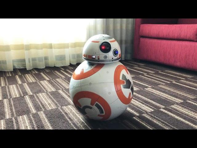 REVIEW: BB-8 Hero Droid from SpinMaster - Star Wars must-have!