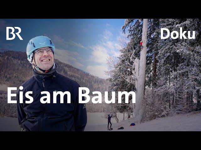 Eisbaum klettern, Gipfel stürmen | Die Holzknechte 6/7 | Bergmenschen | Doku | BR | Berge | Holz