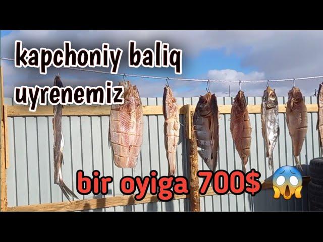 kapchoniy baliq tayyorlash