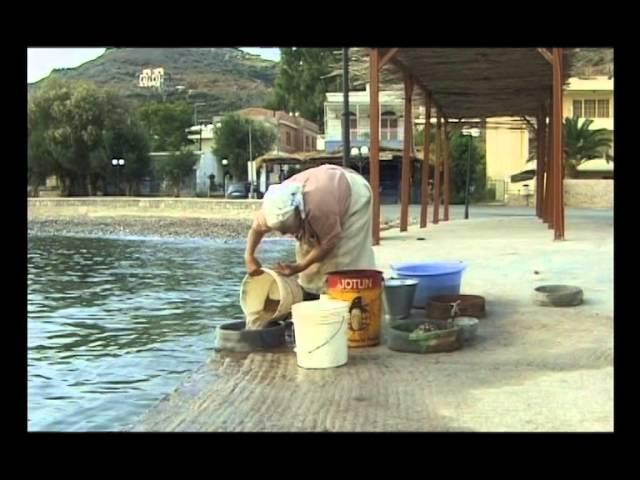 Know-how of cultivating mastic on the island of Chios