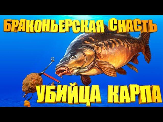 СУПЕР УЛОВИСТАЯ САМОДЕЛЬНАЯ снасть на КАРПА. УБИЙЦА КАРПА практически браконьерская снасть.