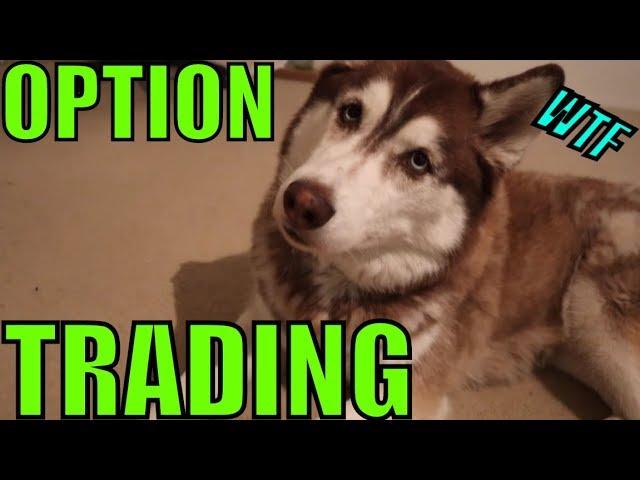 Do People Even Know How To Trade Options?