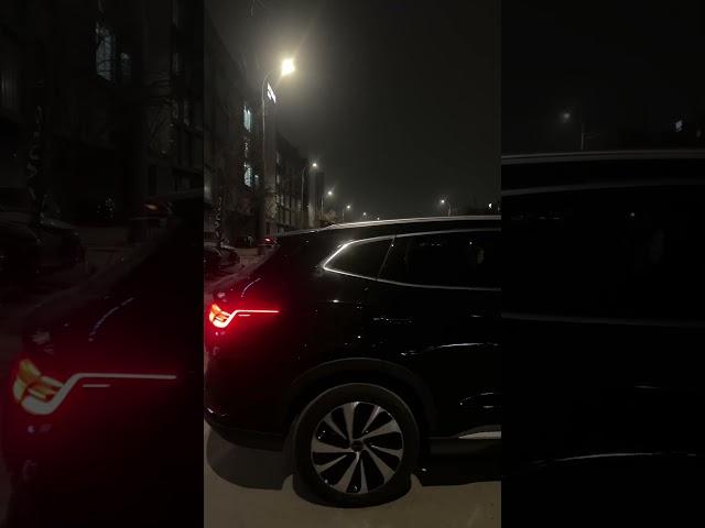 BYD SONG PLUS CHEMPION SOTILDI 