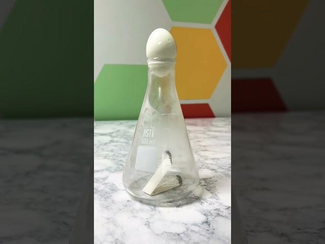 Egg in a Bottle Science Experiment