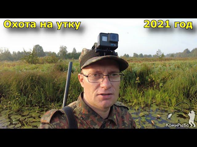 Охота на утку 2021 год. Республика Коми