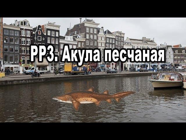 Русская Рыбалка 3 (Russian Fishing). Акула песчаная.