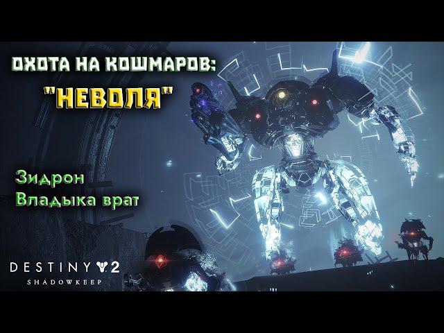 Destiny 2 Обитель Теней - Охота на Кошмаров: Неволя (Зидрон) 169