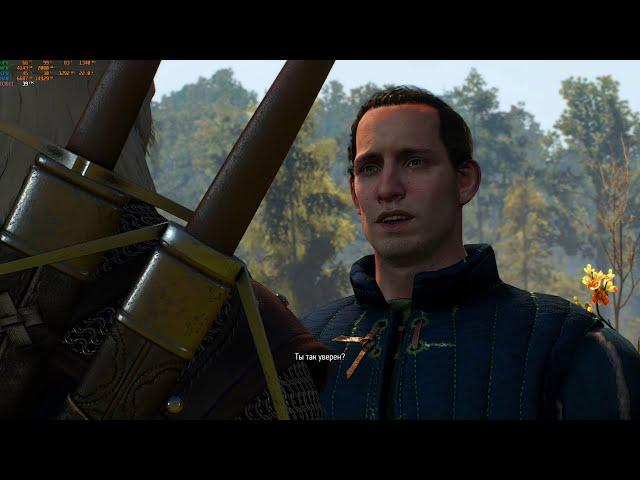 The witcher 3 rx 580 8 gb, i5 4460, 16 gb
