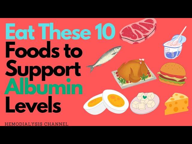 Eat This 10  Foods to Support Albumin Levels