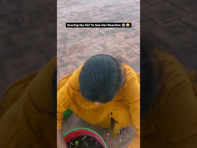 Scaring My Girl To See Her Reaction #shorts #scareprank #couplegoals #scaringmywife #youtubeshorts