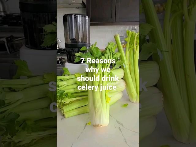 7 Reasons why we should drink celery juice #celeryjuice #juicing #healing