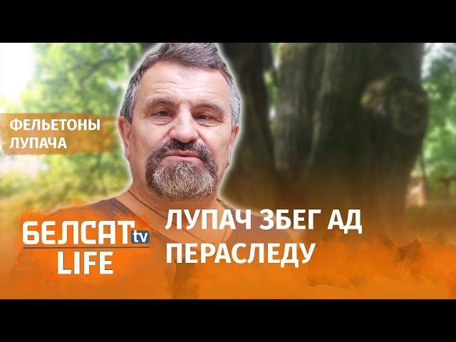 Дуб можа выступіць у якасці сведкі ў судзе? | Дуб может выступить в качестве свидетеля в суде?