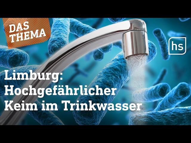 Warum der Limburger Keim sogar Lungenentzündungen verursachen kann | hessenschau DAS THEMA