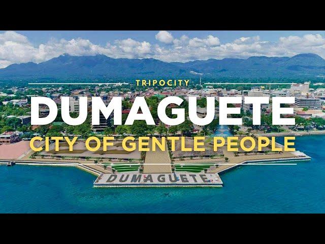 Dumaguete: Casaroro Falls, Apo Island and More Things to do in Dumaguete, Philippines