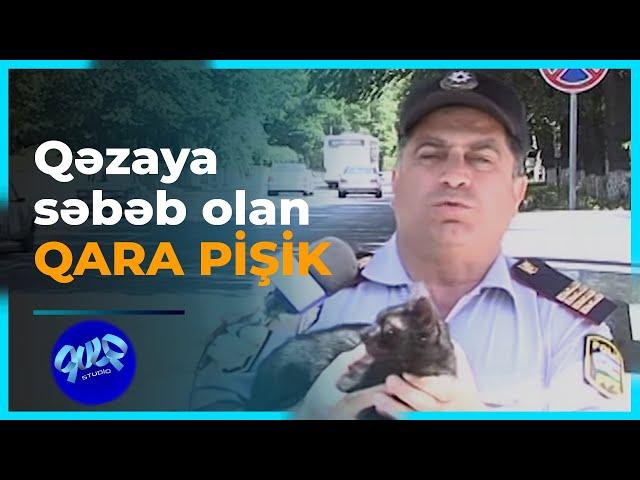 Qara pişik və yol qəzaları - Qulp