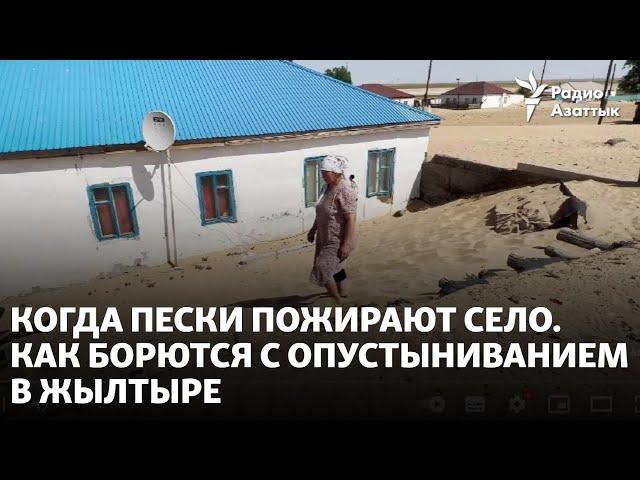 Когда пески пожирают село. Как борются с опустыниванием в Жылтыре