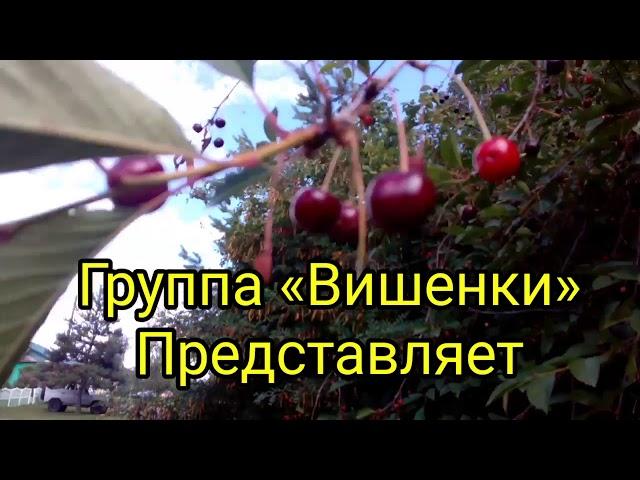 Группа «Вишенки» клип «Малявка» || Group «Cherries» clip «Malyavka»