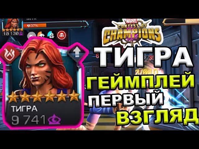 ТИГРА 6* | ПЕРВЫЙ ВЗЛЯД | ГЕЙМПЛЕЙ| СМОТРИМ | Marvel: Contest of Champions