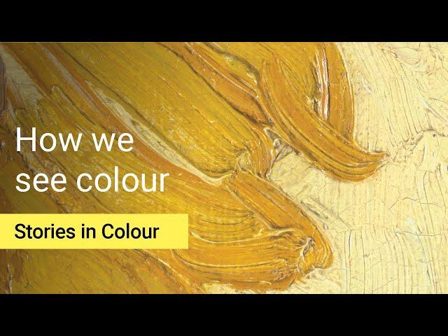 Do you see the same colours I see? | Stories in Colour Podcast S1 Ep1 | National Gallery