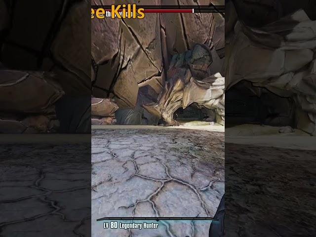 Has This Ever Happened To You In Borderlands 2?