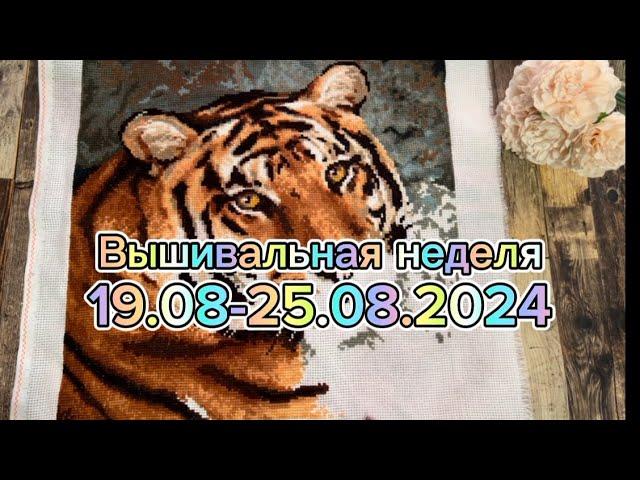 57. Вышивальная неделя 19.08-25.08.2024 | Риолис «Амурский тигр», продвижения