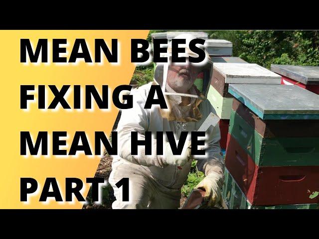 Mean bees, fixing a mean hive Part 1