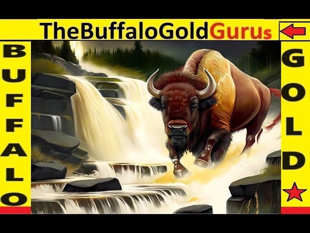 BIG WIN for us on BUFFALO GOLD (lots of bonuses!)