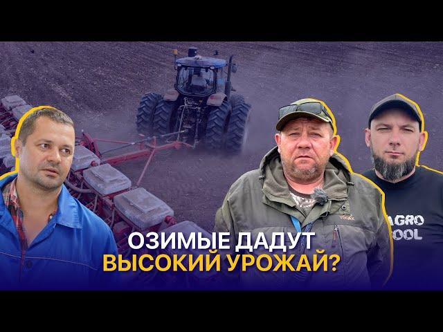 Дождливая посевная, выбор удобрений и прогноз урожая 2024 | Лазарев и К, BA AgroGroup