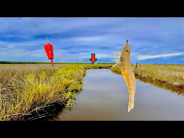 SO...You Want to Catch Redfish? Watch THIS! [Simple, Easy RED DRUM Fishing]