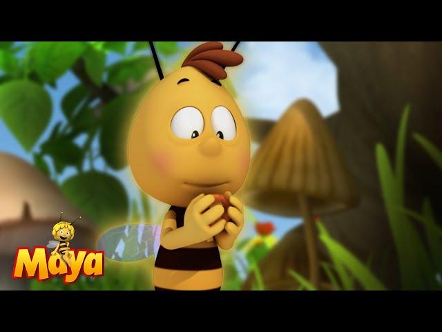 Maya Saves the Beehive! - Maya the Bee - FULL COMPILATION