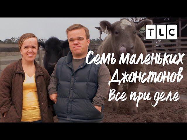 Все при деле | Семь маленьких Джонстонов | TLC