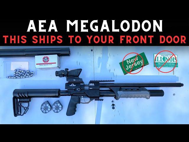 Guess What Just Arrived? A Pump Action Slug Gun! AEA Megalodon - Let's Give It a Go!