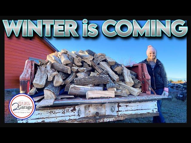 Firewood for Days | Winter Fire Preparations