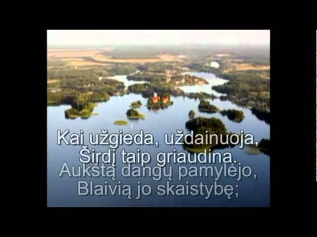Maironis "Daina"