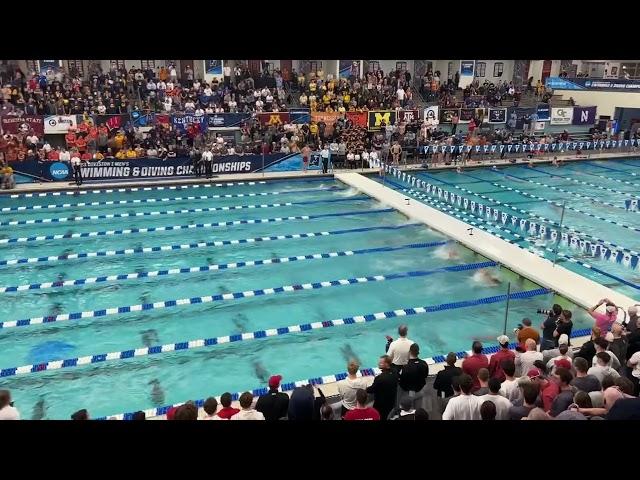 1:30.43 200 Free (Luke Hobson) - 2023 NCAA Championships