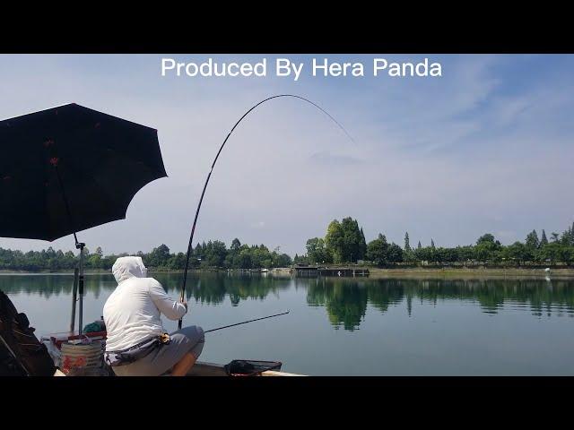 Herabuna fishing with new rod:Koi-Tiger 7.2M