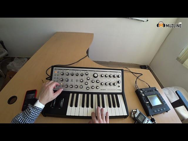 Синтезатор Moog Sub Phatty Обзор/Демонстрация/Распаковка/Overview/Demonstration/Unpacking