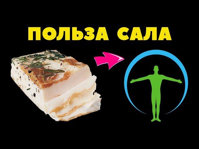   9 ПРИЧИН ЕСТЬ САЛО КАЖДЫЙ ДЕНЬ / ЧЕМ ПОЛЕЗНО САЛО/ ПОЛЬЗА САЛА