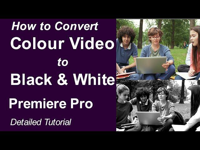 How to Convert Color Video to  Black and White in Premiere Pro