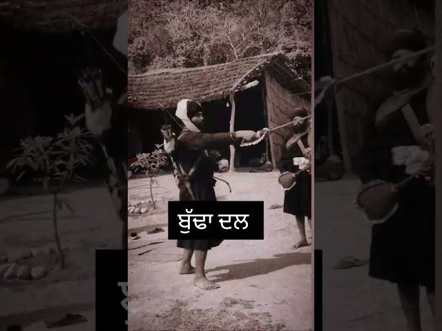 shastar Vidya ll budha dal ll gaini surinder singh ji ll Nihung budha dal