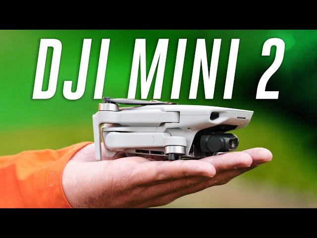 The best drone under $500 (DJI Mini 2 review)