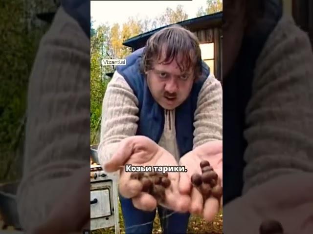 Городок - Модест и козьи шарики