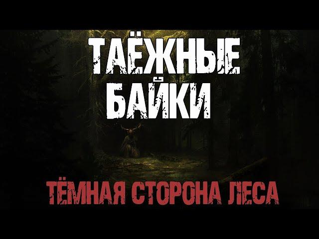 ТАЕЖНЫЕ БАЙКИ - С.Борзов. Страшные истории про лес. Мистические рассказы. Мистика про лешего